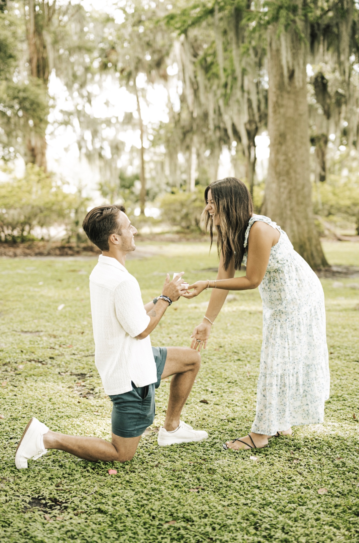 Proposal on one knee beneath sprawling oaks